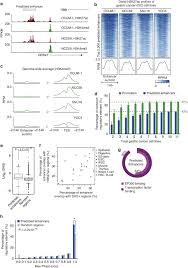 If you need a rollback of uc browser, check out the app's version history on uptodown. Epigenomic Profiling Of Primary Gastric Adenocarcinoma Reveals Super Enhancer Heterogeneity Nature Communications