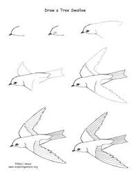 You can also begin drawing cartoon animals first. How To Draw A Tree Swallow Step By Step Art Kids Drawing Lesson By Wilma Bird Drawings Easy Drawings Drawings