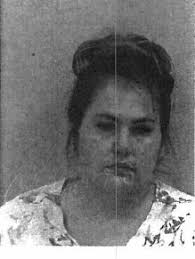 TRIDENT investigation into meth smuggling leads to 2 arrests in Chippewa  Co.