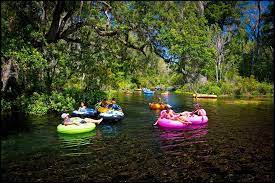Ichetucknee Springs Tubing In Florida Has Been Called The Best In The State Florida Adventures Florida Travel Destinations State Parks
