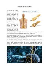 It is referred to as a syndrome because it represents a broad group of. Sindrome De Guilliam Barre Docsity