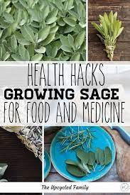 The Amazing Reason You Want This Herb In Your Garden Diy Herb Garden Medicinal Herbs Herbs For Health