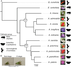 129 n center st elkins, ar 72727. Co Expression Clustering Across Flower Development Identifies Modules And Candidate Genes For Diverse Floral Forms In Achimenes Gesneriaceae Biorxiv