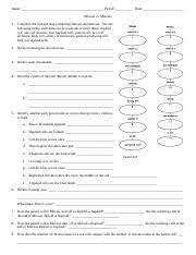 Check spelling or type a new query. Mitosis Vs Meiosis Worksheet Name Period Date Mitosis Vs Meiosis 1 Complete The Concept Map Comparing Mitosis And Meiosis Use The Following Terms Each Course Hero