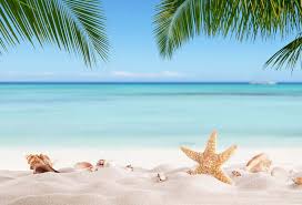 Seascape Photography Backdrops Beach Photo Background Computer Printed Backdrops For Photography Studio G 228 Background Aliexpress