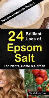 24 Brilliant Epsom Salt Uses For Plants Home And Garden Epsom Salt For Plants Epsom Salt Uses Lawn Fertilizer