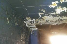 Fundraiser for Regina King by Junior Brainard : Fire Recovery for Regina  King