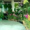 Dengan kondisi bunga yang bisa tumbuh subur akan mempercantik area halaman atau pun taman di rumah anda. Https Encrypted Tbn0 Gstatic Com Images Q Tbn And9gcraf5rvmlu8uk Fty Rgiidjqfn3rkofx2u53uacbzxhj2i1ewq Usqp Cau