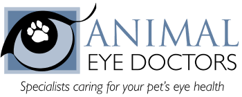 1149 nimmo pkwy, virginia beach, va. Home Animal Eye Doctors