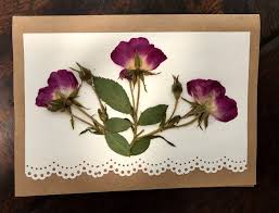 Making greeting cards is a great activity for parents and kids to share. Greeting Cards From Pressed Flowers Sugar Sunshine And Flowers