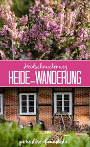 Deutschlands Schonste Heide Wanderung Der Heidschnuckenweg Heide Urlaub In Deutschland Gunstig Reisen Deutschland