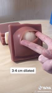 How to measure cervical effacement. How Big A Cervix Dilates During Childbirth Via Tiktok