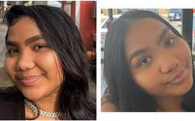 Team capsules, key dates