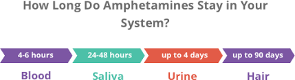 A hair test can pick up drug use for up to three months since your last use. How Long Do Amphetamines Stay In Your System Blood Urine Saliva