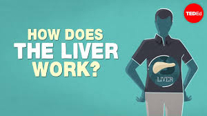 In comparison with other types of cancer, liver cancer is rare. The Stages Of Liver Disease American Liver Foundation