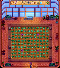 On this layout, you are supposed to create a good environment for growing crops and trees. Greenhouse In Stardew Valley Tips Setup And Layout Stardew Valley