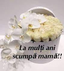 Iti doresc din adancul sufletului sa ai parte numai de impliniri, satisfactii si. 130 La Multi Ani Ideas In 2021 La MulÈ›i Ani Beautiful Roses Beautiful Flowers