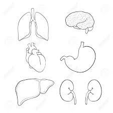 We did not find results for: Black And White Illustration Diagram Human Heart Download Illustration 2020