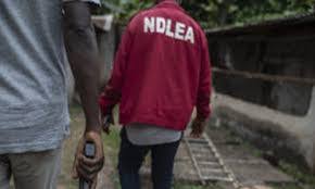The national drug law enforcement agency recruitment 2020 has commenced. Ndlea Arrests Man 10 Years After Escaping Arrest The Sun Nigeria
