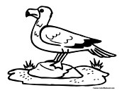 ✓ free for commercial use ✓ high quality images. Seagull Coloring Pages