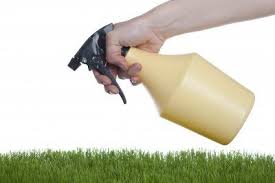 We did not find results for: Homemade Fertilizers For Lawns How To Make Your Own Lawn Fertilizer