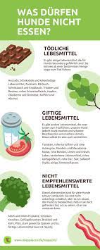 was durfen hunde nicht essen giftige lebensmittel fur hunde nicht essen lebensmittel