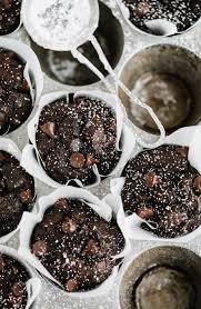 Double Chocolate Espresso Muffins Browned Butter Blondie Recipe In 2020 Desserts Sweet Recipes Chocolate