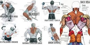 Which is why we love this bodyweight exercise chart from darebee. Pin By Halah Alateeq On Fitness Dumbbell Back Workout Back Muscles Back Muscle Exercises