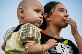Two tough Tiger cubs