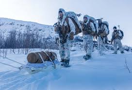 A warmer Arctic challenges troops training for warfare