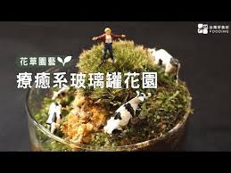 玻璃罐微境綠花園 一只玻璃罐打造自己的微型植物園 不只觀賞 更是自然生態觀察 大人小孩都適合 台灣好食材fooding youtube