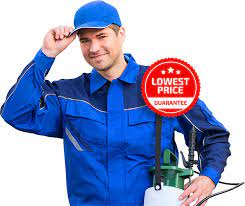 Functional features and benefits of termite control sydney pests have always been a cause for consistent damage and destruction to your health and property. Building And Pest Inspection Sutherland Pre Purchase Condition Report