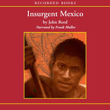 Mexico Revolution Books