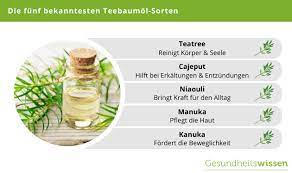 Gerade bei körperlichen beschwerden kommt das öl des teebaums dabei häufig zum einsatz. Teebaumol Anwendungen Inhaltsstoffe Deren Wirkung