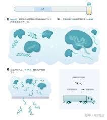 知乎，中文互联网高质量的问答社区和创作者聚集的原创内容平台，于 2011 年 1 月正式上线，以「让人们更好地分享知识、经验和见解，找到自己的解答」为品牌使命。知乎凭借认真、专业、友善的社区氛围、独特的产品机制以及结构化和易获得的优质内容，聚集了中文互联网科技、商业、影视. Glaesx1mpjik7m
