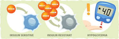 First, the percentage needs to be written in decimal the other catch is that not every macronutrient has the same number of calories per gram. Insulin Sensitivity Complete Guide What Is It How To Optimize