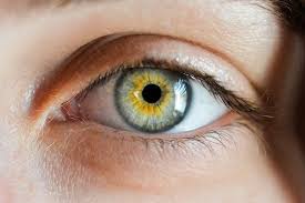 The 5 Secrets To Better Eyesight Women Fitness Magazine Vision Eye Eye Sight Improvement Eyesight