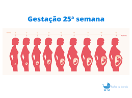A Gestacao 25ª Semana