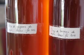 Lili Muguette La Recette Du Sirop De Bourgeons De Sapin D Epicea Sirop Fait Maison Recettes A Base De Plantes Sirop De Sapin