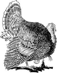50 unique designs thanksgiving coloring book for kids to color including turkey, pumpkins, cornucopias, autumn leaves, foods, and more! 7 Thanksgiving Turkey Images The Graphics Fairy