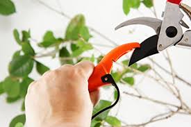 Q Yard Qy 007a Handheld Multi Sharpener For Pruning Shears Garden Hand Pruner Pruning Shears Garden Scissors Shears