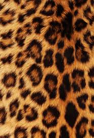 Le Pelage Des Animaux Que C Est Beau Leopar Desenler Dokular