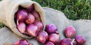 Kebutuhan bahan pokok ini sangat di perlukan seperti halnya. 10 Khasiat Bawang Merah Untuk Kesehatan Salah Satunya Cegah Kanker Merdeka Com