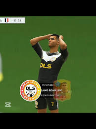 Image result for DLS Direct II