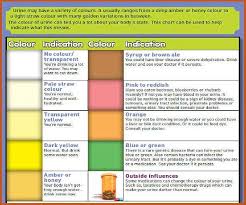 what your urine colour says about your health according to