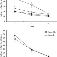 Decoración de rama navideña paso a paso, mucha payasada y cero estrés. Pdf What Makes A Landmark Effective Sex Differences In A Navigation Task