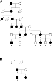 Pedigrees Of Two Kindreds With Autosomal Dominant Familial