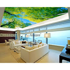 We did not find results for: Digital Printed And Uv Printing False Ceiling Blue Sky Pop Ceiling Design Image Ceiling Blue Sky Blue Ceilingblue Sky Ceiling Aliexpress