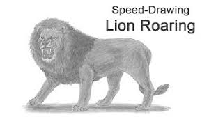 Operation sea lion, also written as operation sealion (german: How To Draw A Lion Roaring