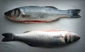 Loup De Mer - Picture Of Limani, New York City - Tripadvisor